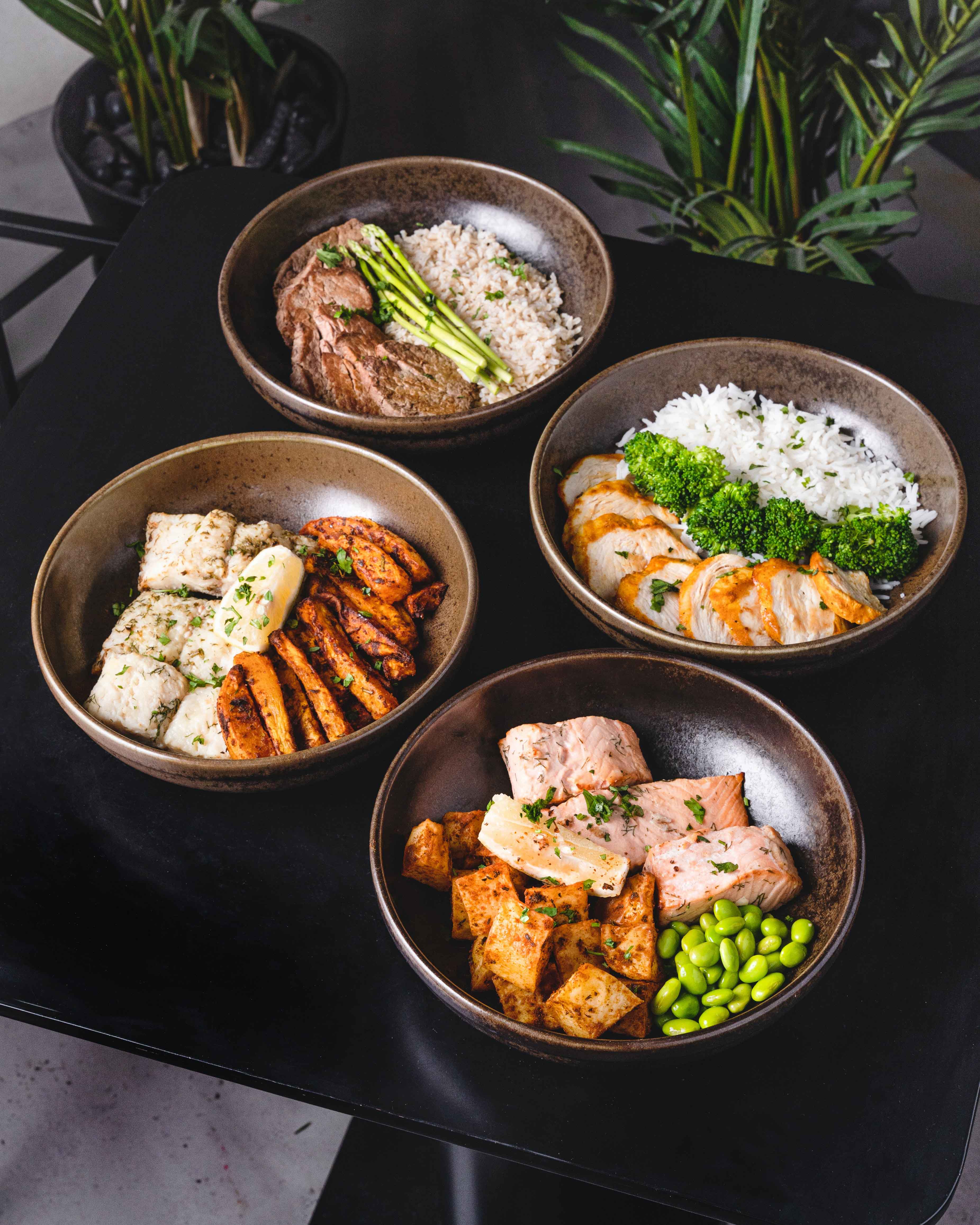 protein nutrition